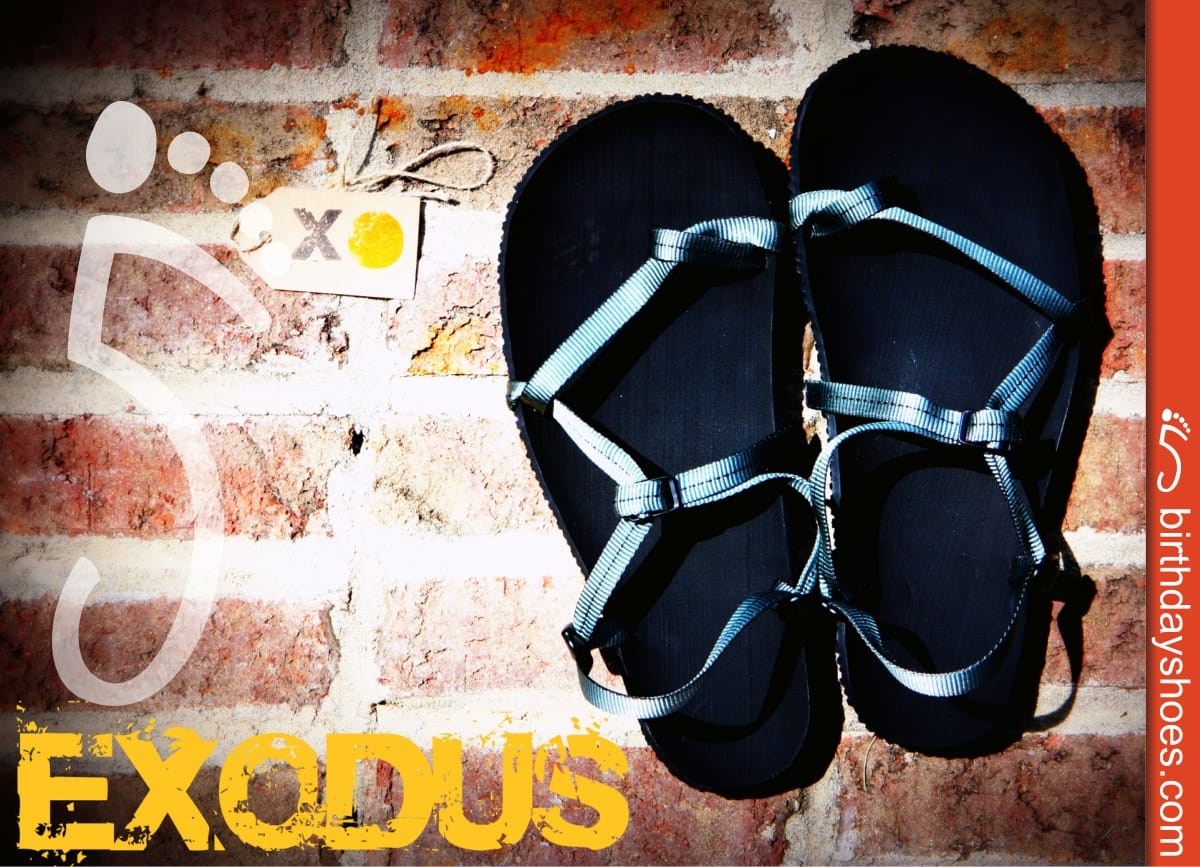 Exodus Minimalist Sandals Review