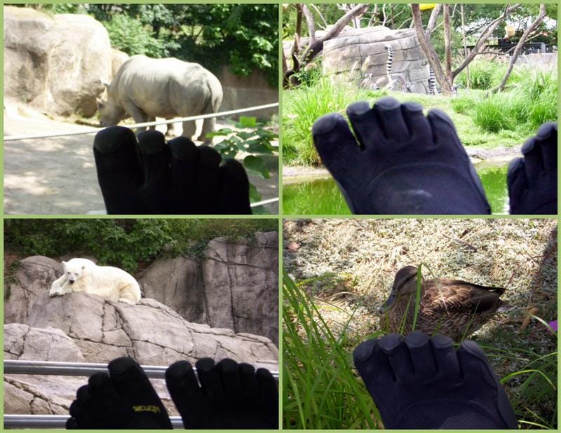 Max hits the Zoo in Black KSO Vibram Five Fingers