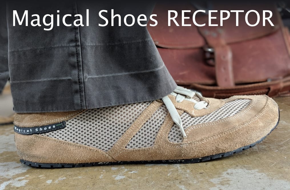 Quick Review—Magical Shoes Receptor Explorer