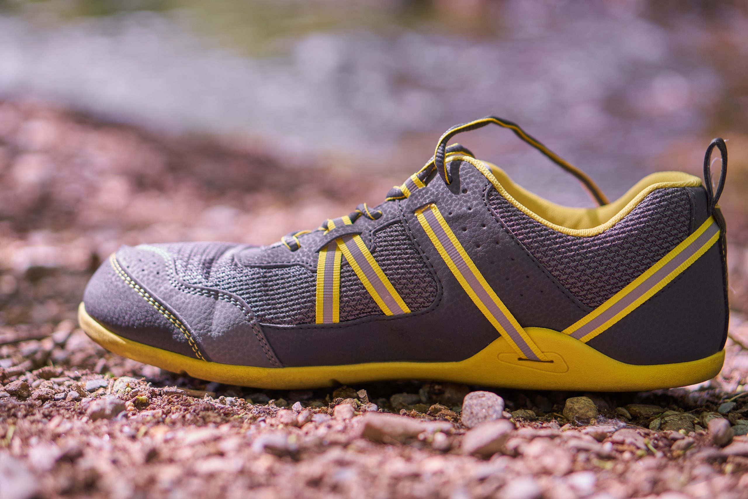 Xero Shoes Prio Running Shoe Review - Birthday Shoes - Toe Shoes