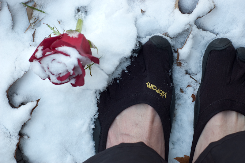 Enjoying a bit of snow between the toes in his Classics, Andrew snaps a shot of a rose.