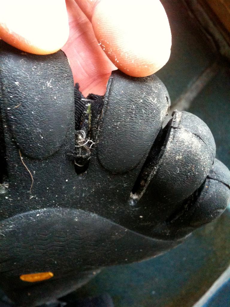 Individuals with webbed toes often think Vibram Five Fingers are
