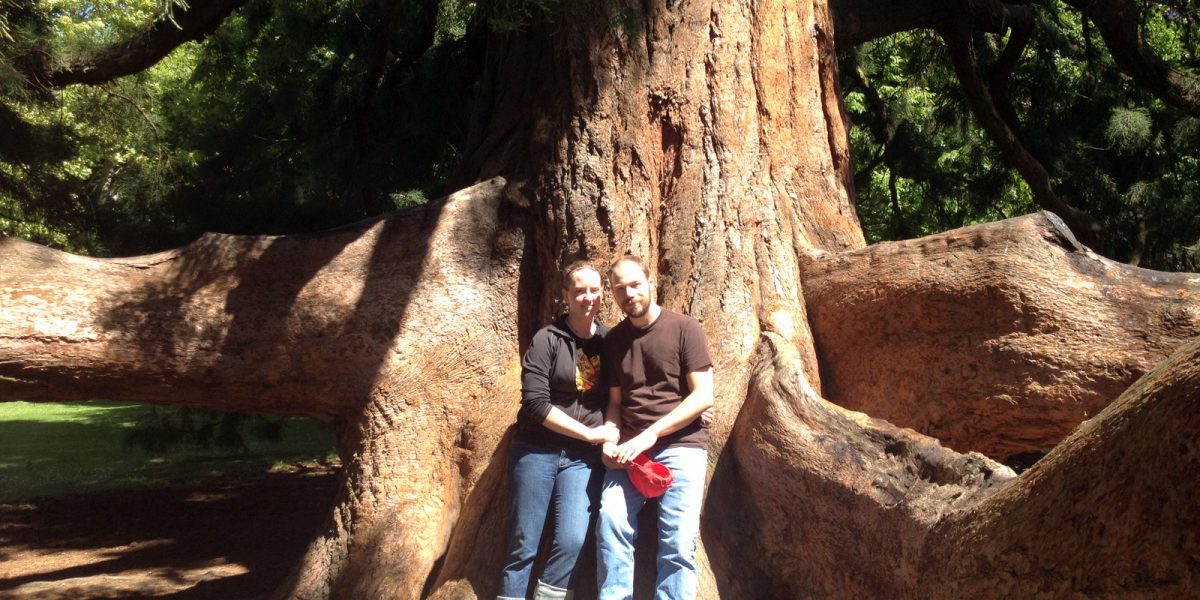 A photo of Jen K. and her husband in the Christchurch Botanic Gardens on the south island of New Zealand.  They are standing in front of a massive Atlas Cedar tree.  KSO Treks.
