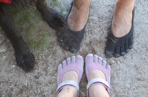 vibrams for dogs