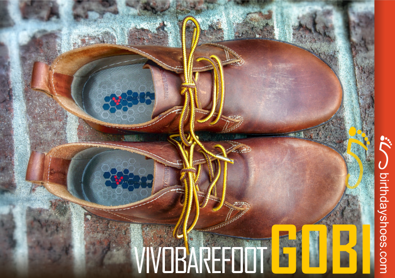 Vivobarefoot Opiniones - Botas De Desierto Vivobarefoot Gobi II Hombre  Obsidian