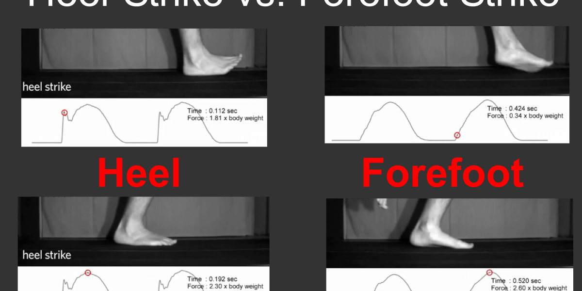 Screencaps from the Nature video, this image shows that initial impact running with a heel-strike registers at around 1.81 x body weight compared to .34 x body weight initial impact running with a forefoot strike.  Interestingly, peak bodyweight impact on each curve registers higher with a forefoot strike — around 2.60 x bodyweight running with a forefoot strike compared to 2.30 x body weight with a heel-strike.  Note in both running styles here, impact is measured with barefeet.