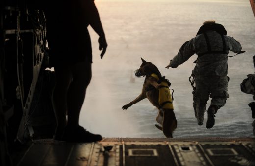 A U.S. Army soldier with the 10th Special Forces Group and his military working dog jump off the ramp of a CH-47 Chinook helicopter from the 160th Special Operations Aviation Regiment during water training over the Gulf of Mexico. Tech Sgt. Manuel J. Martinez/defense.gov