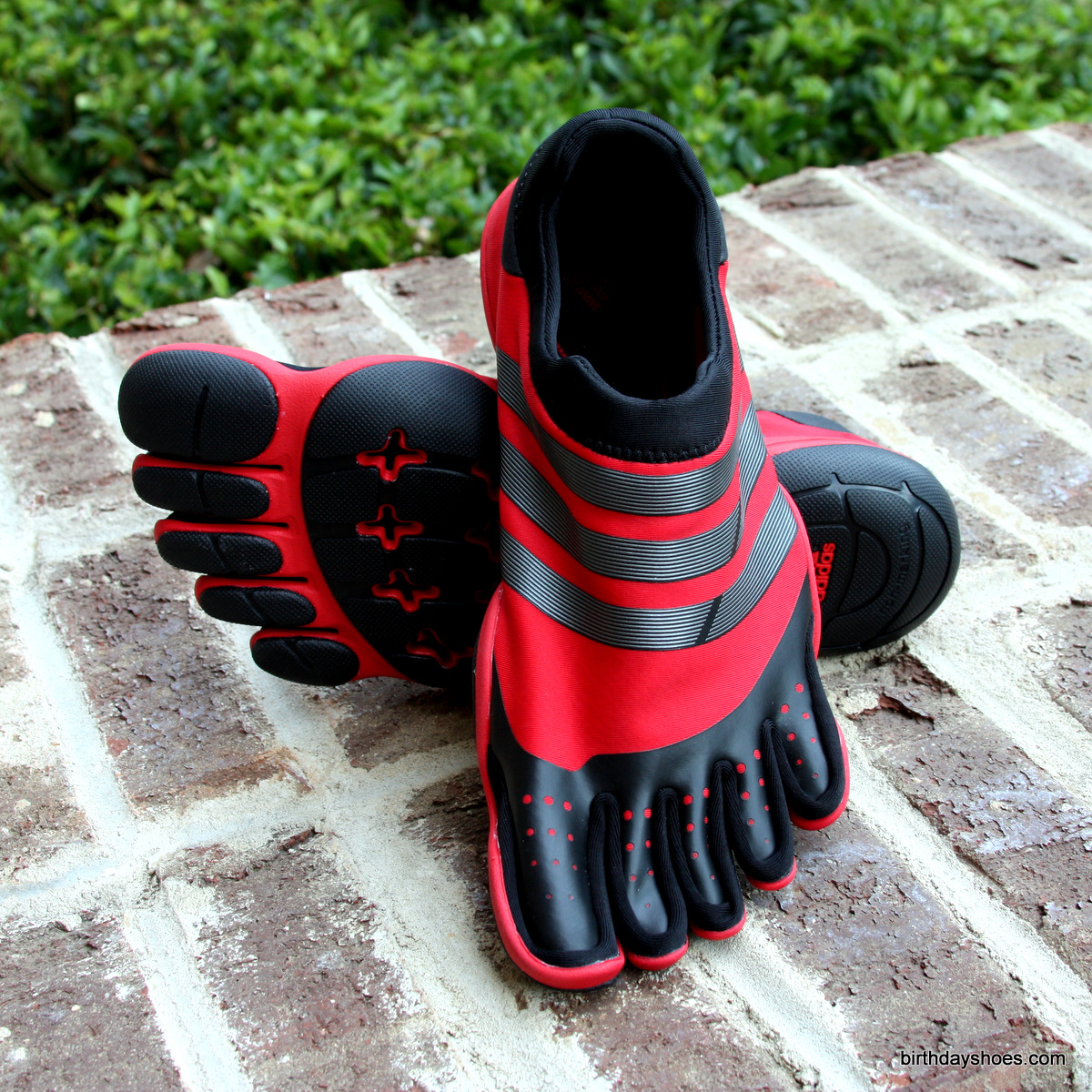 Empotrar Querer infancia Adidas Toe Shoes: AdiPure Trainer Review - Birthday Shoes - Toe Shoes,  Barefoot or Minimalist Shoes, and Vibram FiveFingers Reviews, News, Forums