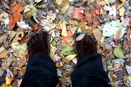 My KSO Trek-clad feet amidst some fall leaves after a hike in the Smoky Mountains.